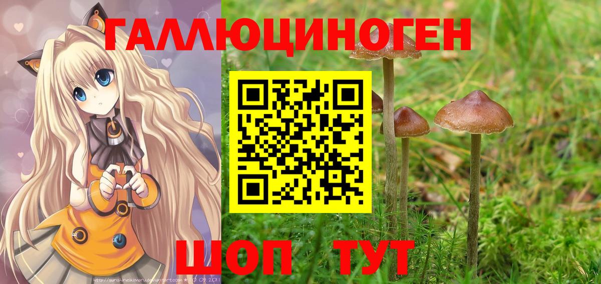 Владивосток  Псилоцибиновые грибы Cubensis  Вход с VPN 